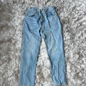 Everlane Blue The Cheeky Crop Jean